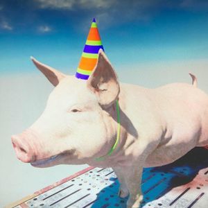 Meet your Posher, Dean